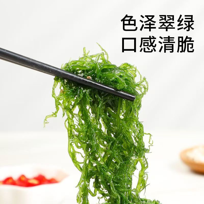 新鲜盐渍龙须菜新鲜商用海草海藻即食火锅凉拌菜食材