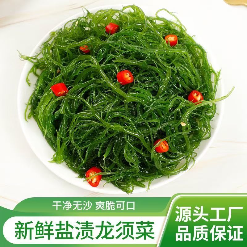 新鲜盐渍龙须菜新鲜商用海草海藻即食火锅凉拌菜食材