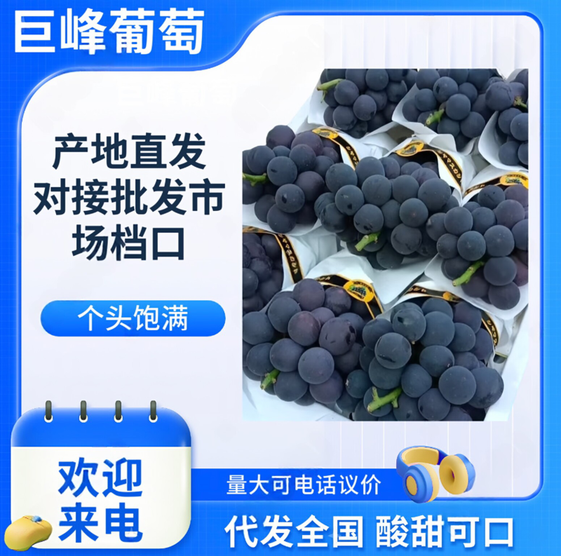 巨峰葡萄硬枝巨峰葡萄硬梗巨峰葡萄一手货源产地直发冷库仓储