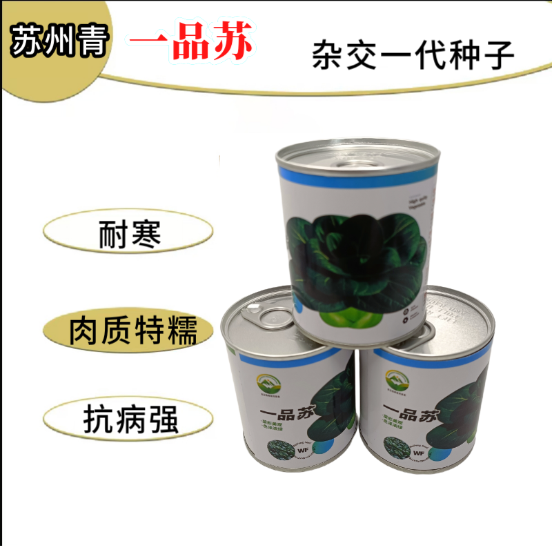 【一品苏】正品黑叶矮脚苏州青种子基地优选青梗菜耐储耐抽