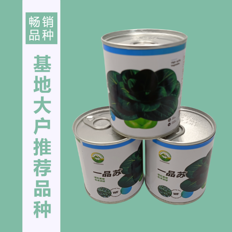 【一品苏】正品黑叶矮脚苏州青种子基地优选青梗菜耐储耐抽