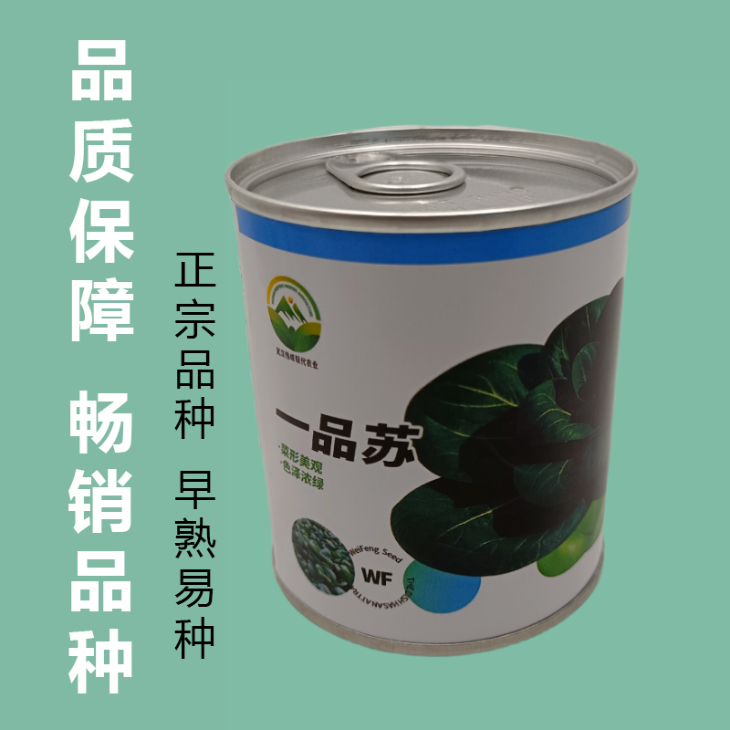 【一品苏】正品黑叶矮脚苏州青种子基地优选青梗菜耐储耐抽