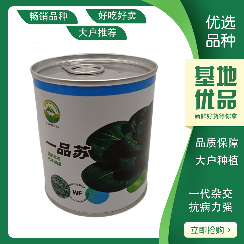 【一品苏】正品黑叶矮脚苏州青种子基地优选青梗菜耐储耐抽
