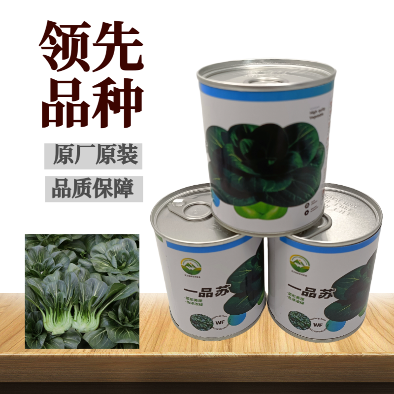 【一品苏】正品黑叶矮脚苏州青种子基地优选青梗菜耐储耐抽