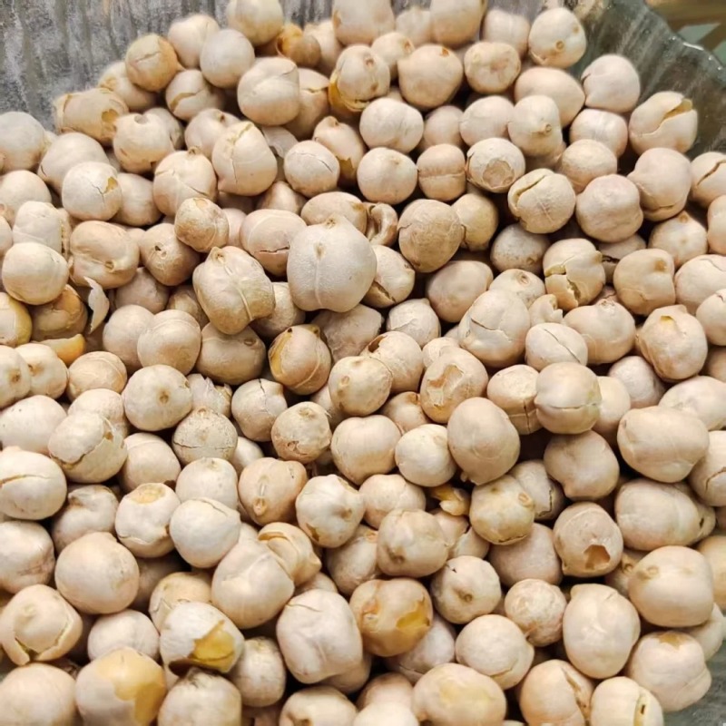 印度土耳其鹰嘴豆卡布里德西精品大颗粒5-14mm进口批发