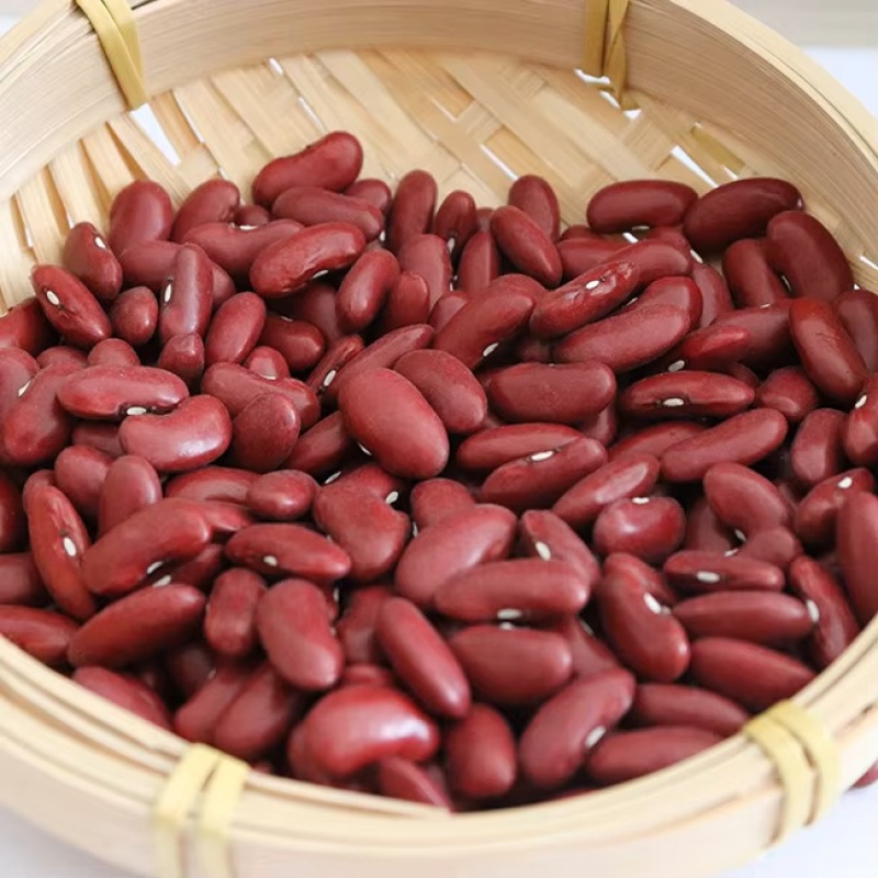 泥河湾|英国红芸豆新货红腰豆大红豆五谷杂粮粗粮豆批发