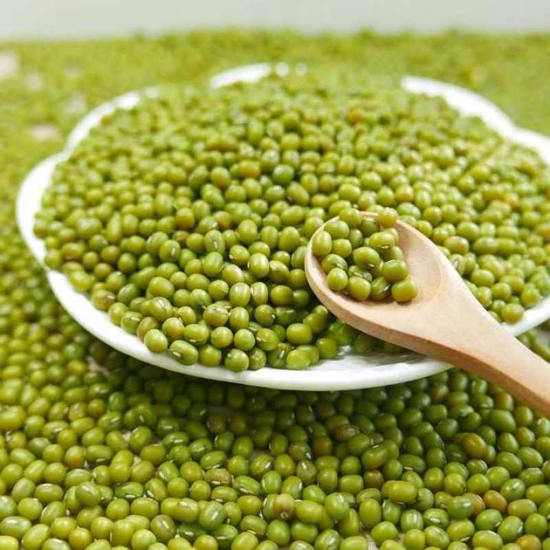 泥河湾|新绿豆新货五谷杂粮发豆芽打豆浆绿豆粥汤冰沙原料
