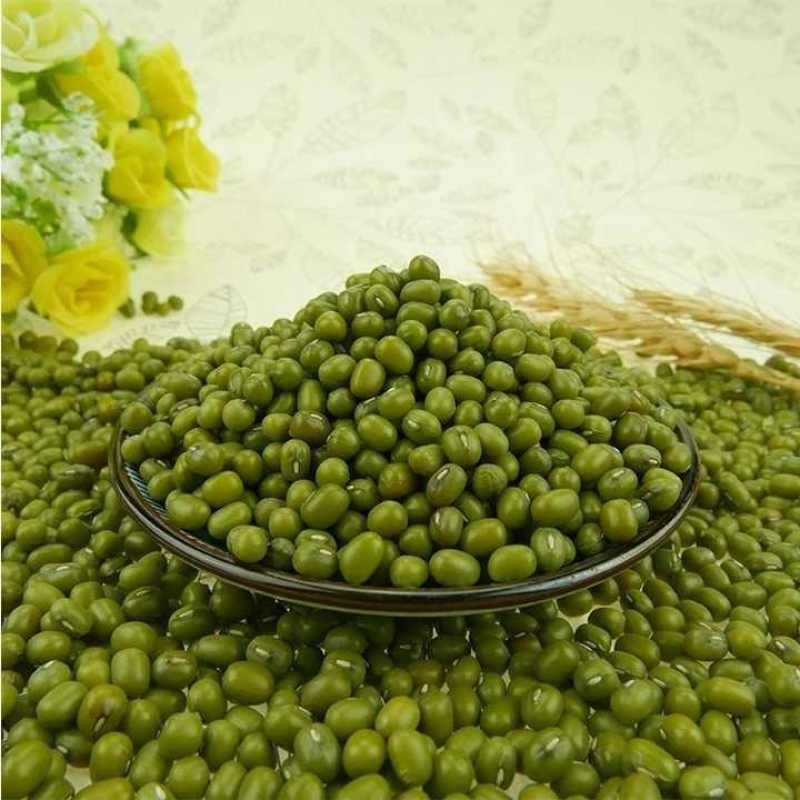 泥河湾|新绿豆新货五谷杂粮发豆芽打豆浆绿豆粥汤冰沙原料