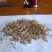 河北北花一号金银花基地直销量大质优一手货源欢迎咨询