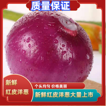 内蒙古精品洋葱红皮洋葱二红洋葱现挖现发产地直发