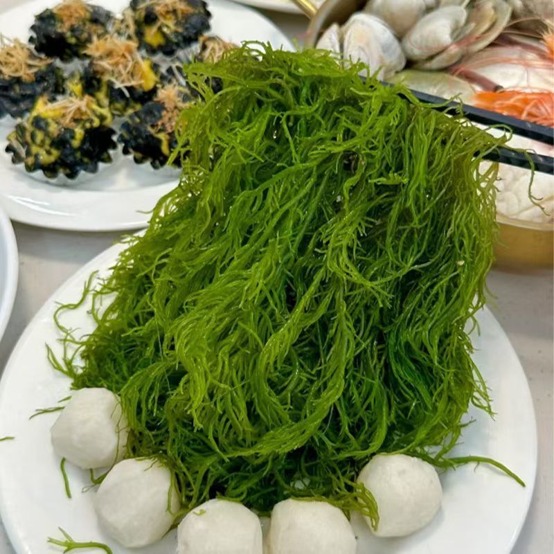 霞浦优质龙须菜新鲜高品质凉拌火锅紫菜粉丝级原味食材