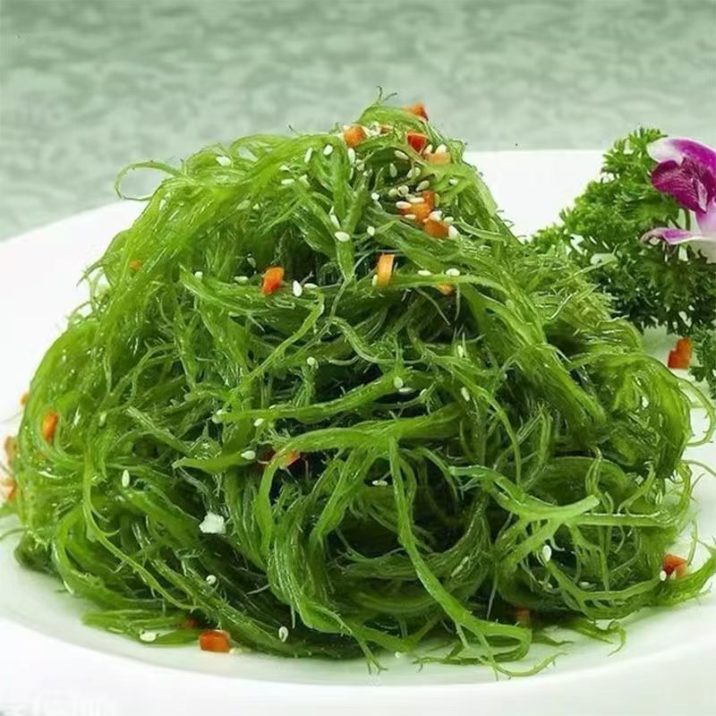 霞浦优质龙须菜新鲜高品质凉拌火锅紫菜粉丝级原味食材