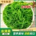 霞浦优质龙须菜新鲜高品质凉拌火锅紫菜粉丝级原味食材