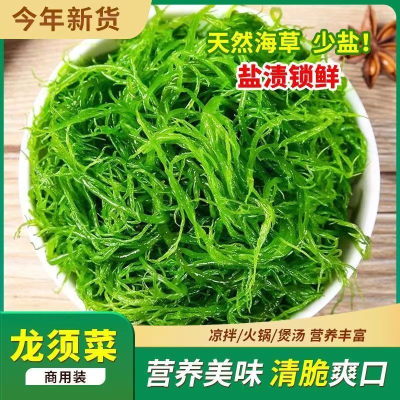 霞浦优质龙须菜新鲜高品质凉拌火锅紫菜粉丝级原味食材