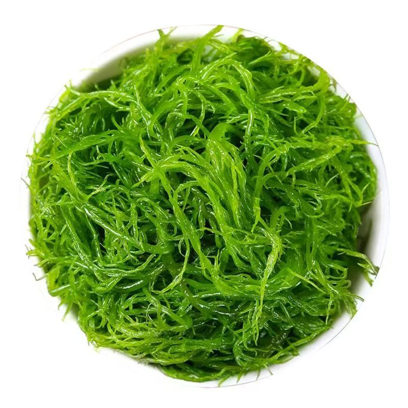霞浦优质龙须菜新鲜高品质凉拌火锅紫菜粉丝级原味食材