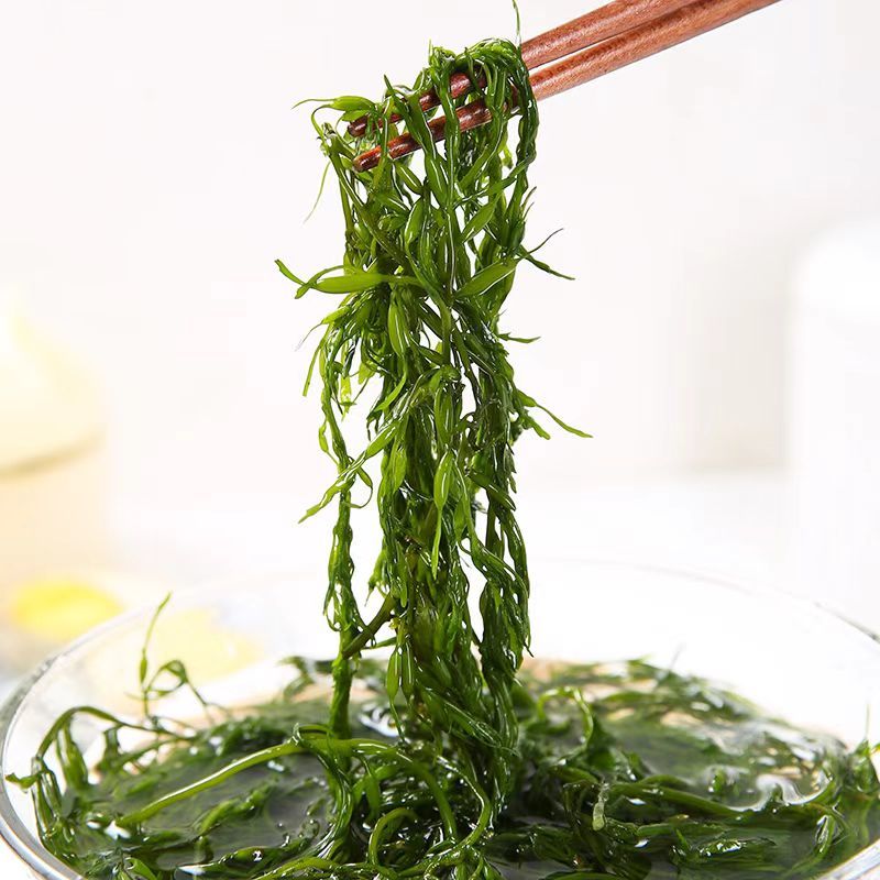马尾藻非干货整箱