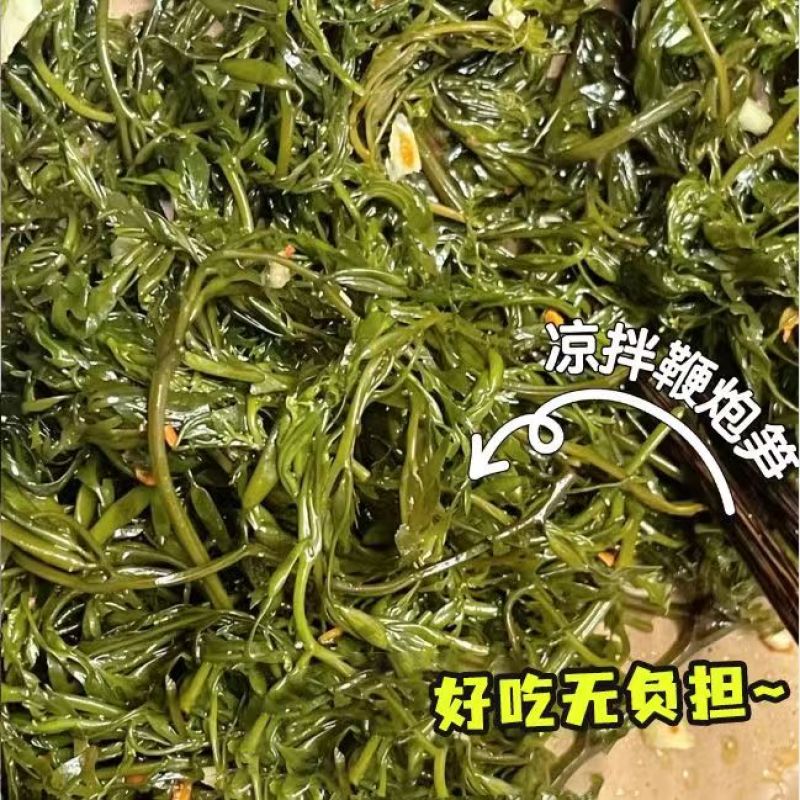 香辣脆爽鞭炮笋凉拌菜海草马尾藻火锅凉菜