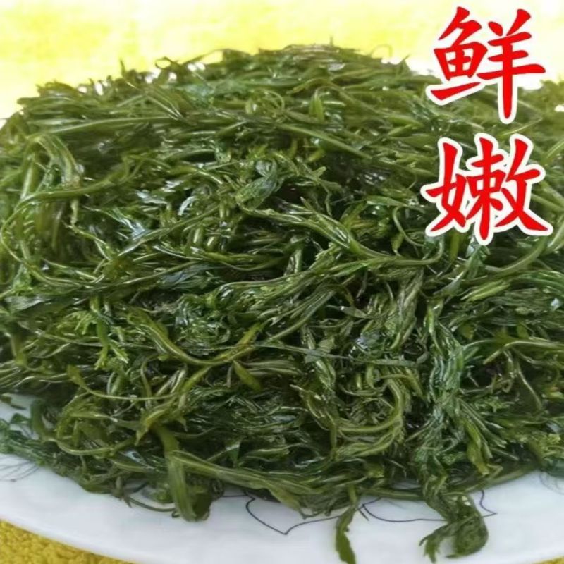 香辣脆爽鞭炮笋凉拌菜海草马尾藻火锅凉菜