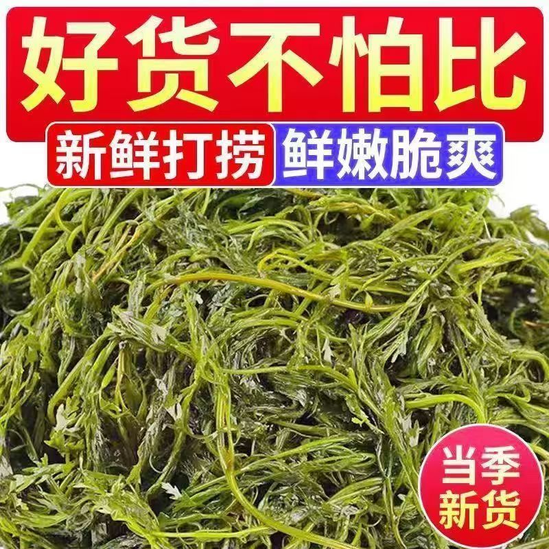 少盐鞭炮笋新鲜盐渍马尾藻长寿菜海草火锅店凉拌菜商用批