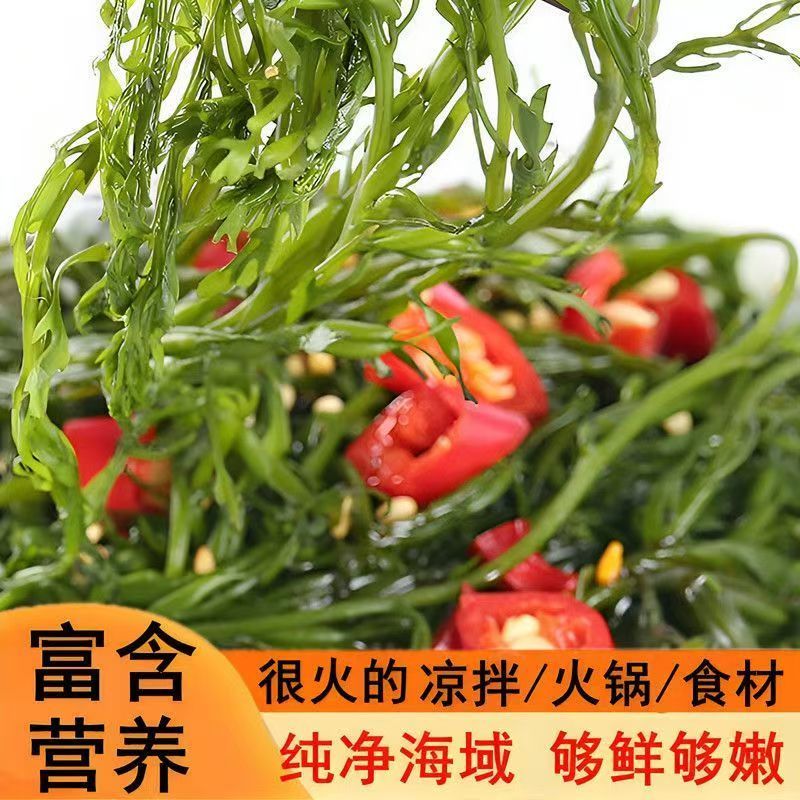 少盐鞭炮笋新鲜盐渍马尾藻长寿菜海草火锅店凉拌菜商用批