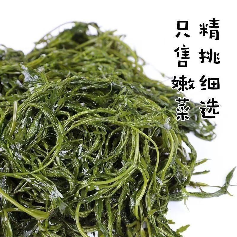 少盐鞭炮笋新鲜盐渍马尾藻长寿菜海草火锅店凉拌菜商用批