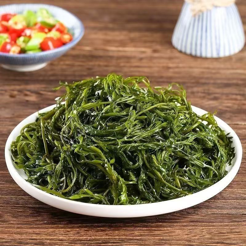少盐鞭炮笋新鲜盐渍马尾藻长寿菜海草火锅店凉拌菜商用批