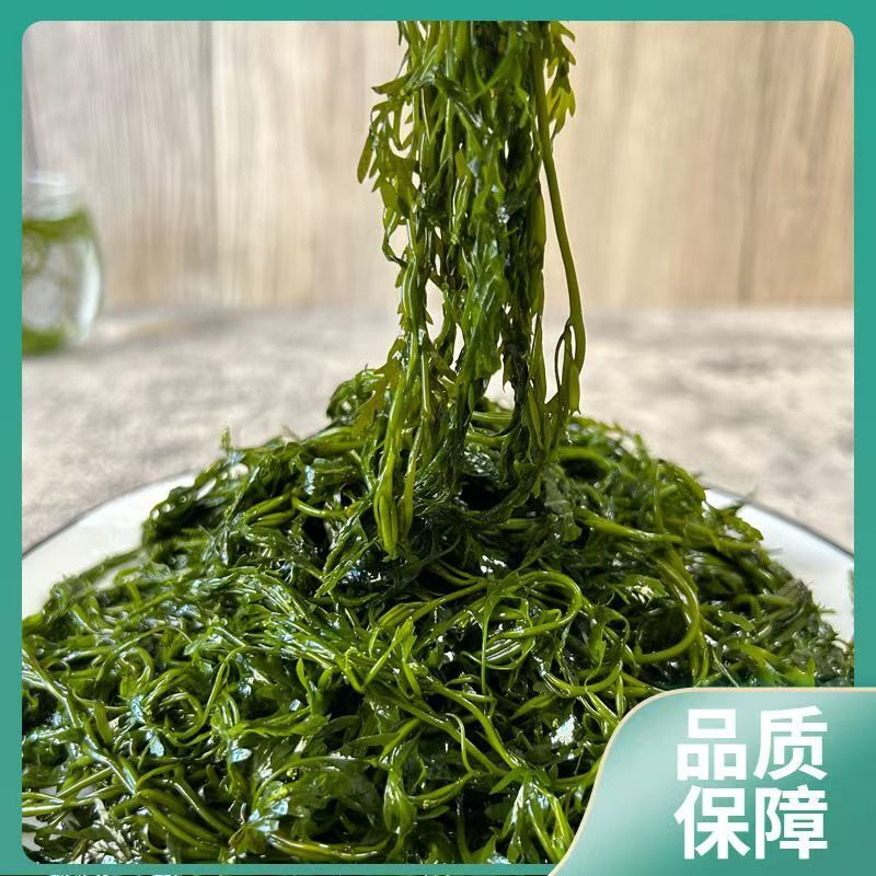 少盐鞭炮笋新鲜盐渍马尾藻长寿菜海草火锅店凉拌菜商用批