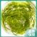少盐鞭炮笋新鲜盐渍马尾藻长寿菜海草火锅店凉拌菜商用批