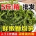 少盐鞭炮笋新鲜盐渍马尾藻长寿菜海草火锅店凉拌菜商用批
