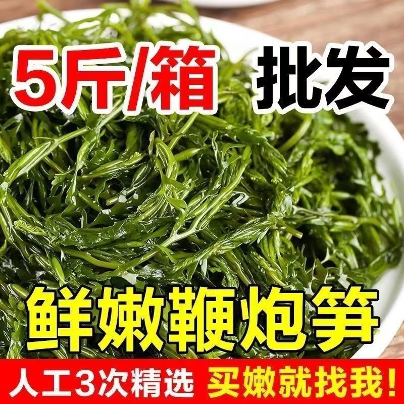 少盐鞭炮笋新鲜盐渍马尾藻长寿菜海草火锅店凉拌菜商用批