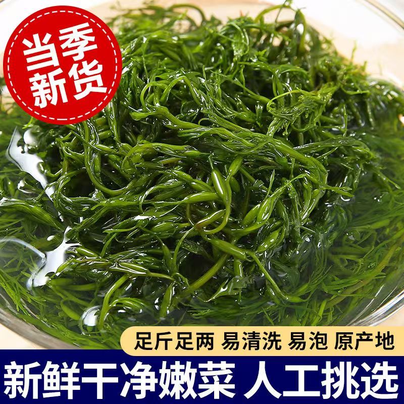 少盐鞭炮笋新鲜盐渍马尾藻长寿菜海草火锅店凉拌菜商用批