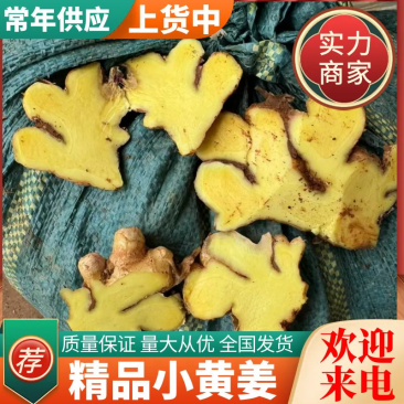 小黄姜/山东生姜/产地常年供应(水洗姜风干姜)全国发货