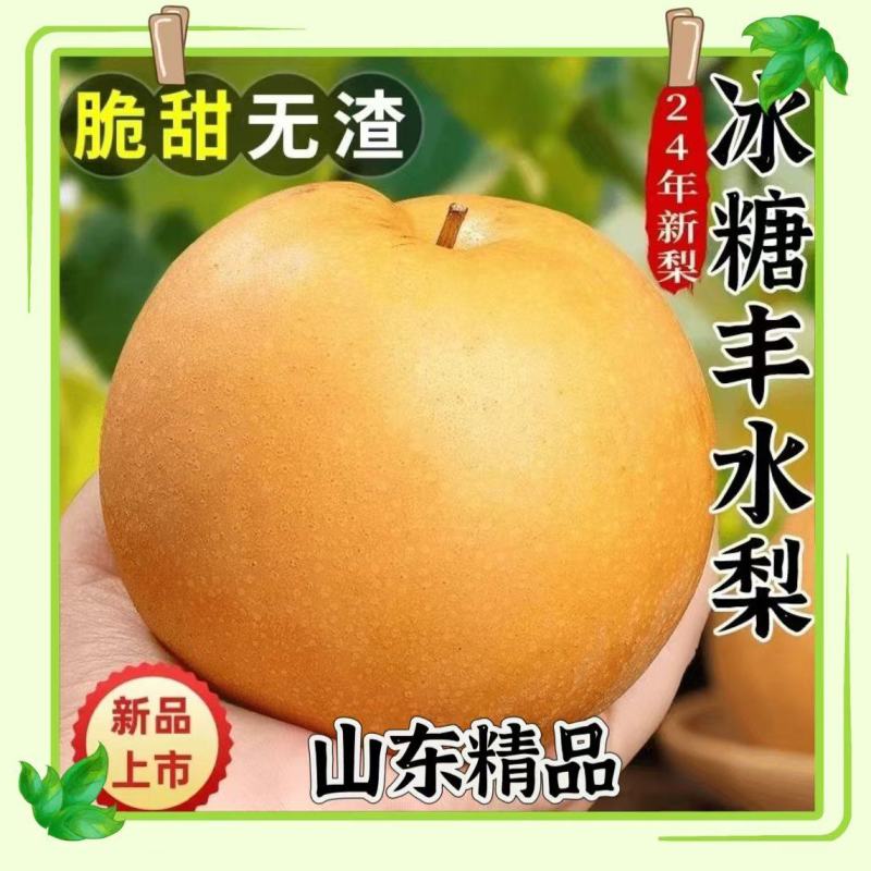 山东梨/丰水梨/秋月梨，一手货产地直发/欢迎来电话咨询