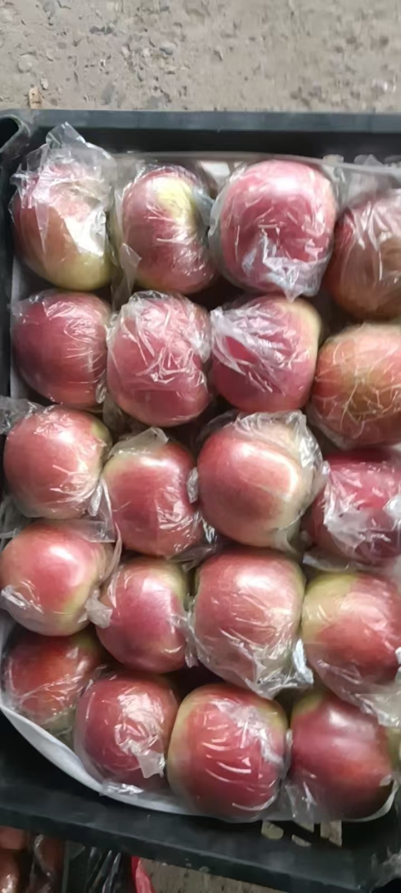 河北美八苹果清甜可口量大从优整车走货质量好走货快欢迎询价