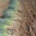 山西钢葱，品质保证，价格优惠，实力商家，产地直发