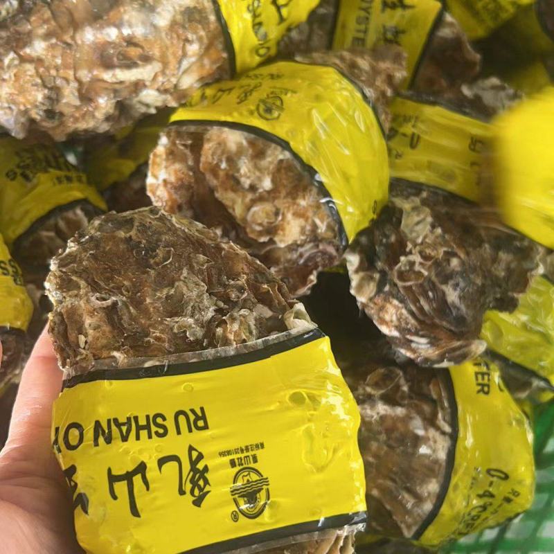 乳山生蚝，海洋所西黄岛牡蛎养殖区出品
