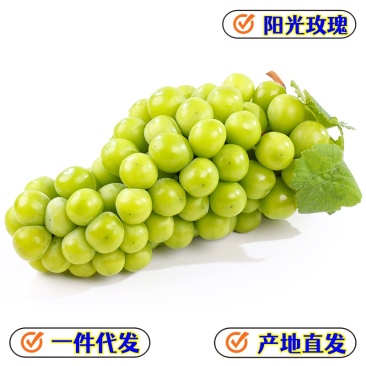 一件代发陕西阳光玫瑰晴王葡萄供应电商各大平台直播等