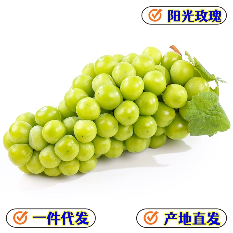 一件代发陕西阳光玫瑰晴王葡萄供应电商各大平台直播等