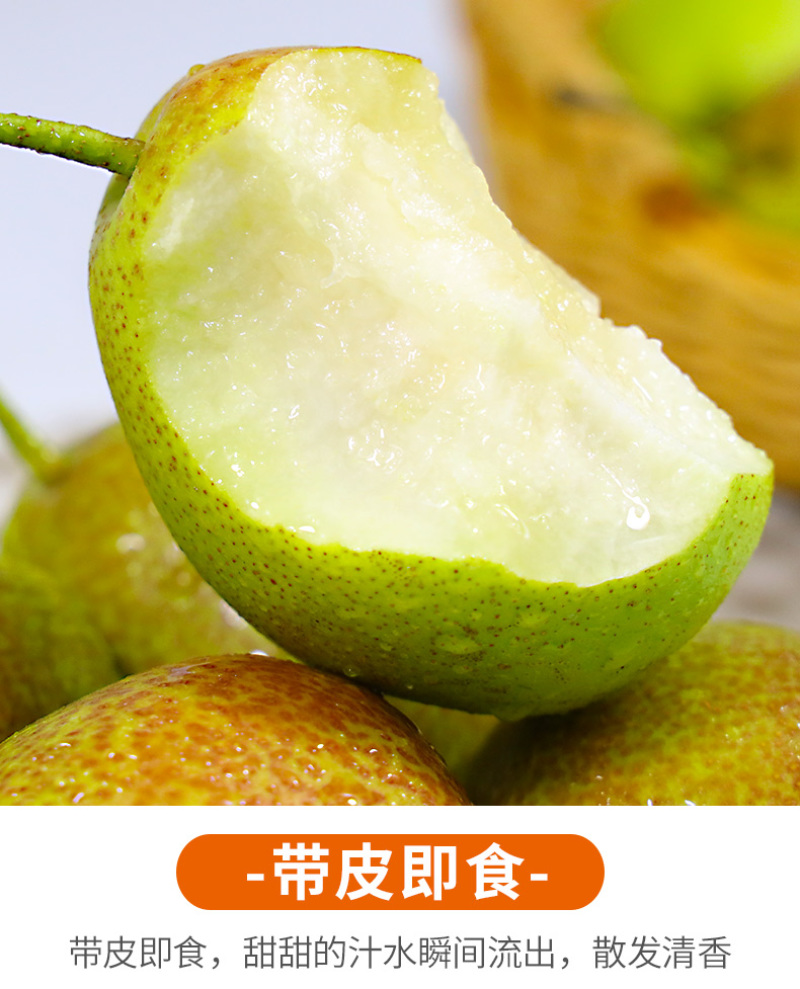 一件代发陕西红香酥梨子当季现摘现发水果供应电商平台