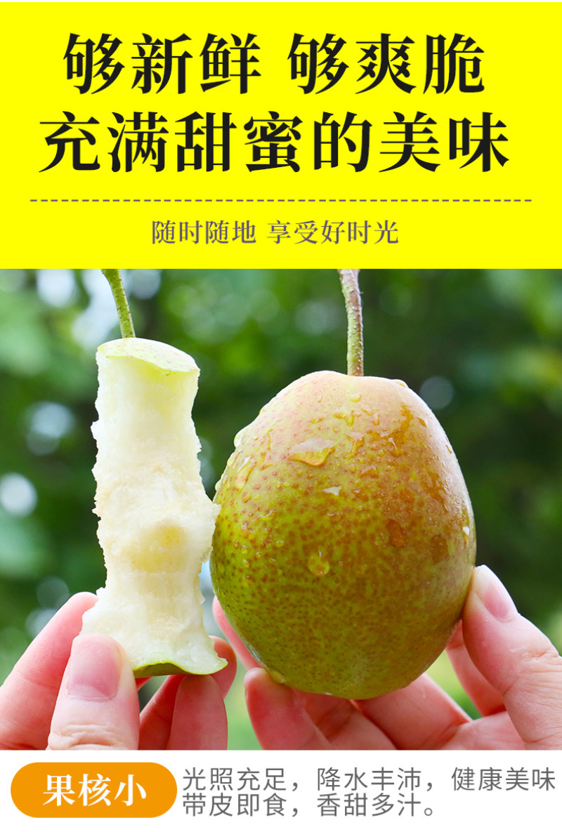一件代发陕西红香酥梨子当季现摘现发水果供应电商平台