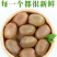 一件代发陕西翠香绿心猕猴桃奇异果供应电商各大平台直播等