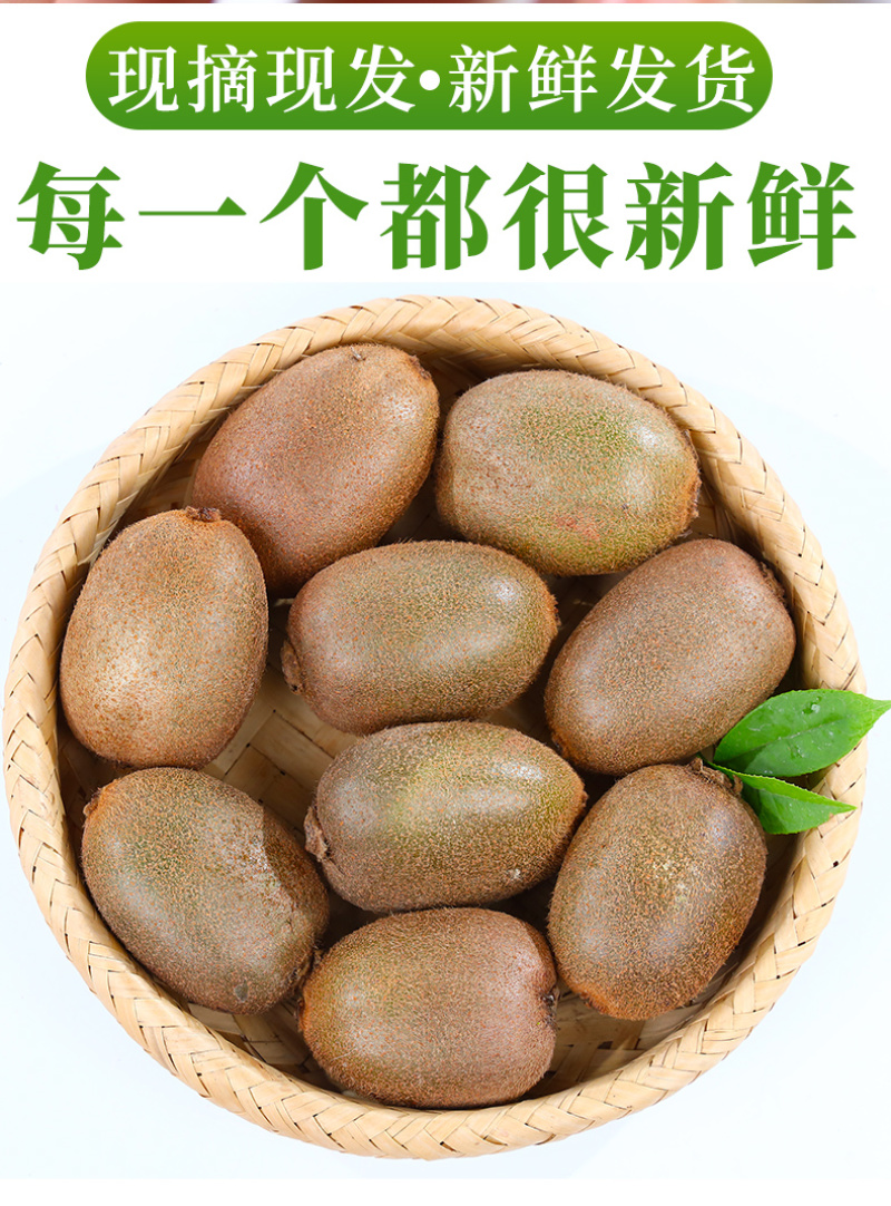 一件代发陕西翠香绿心猕猴桃奇异果供应电商各大平台直播等