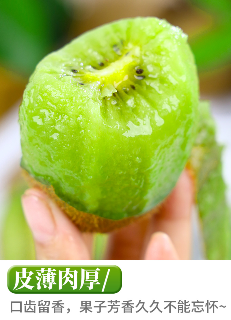 一件代发陕西翠香绿心猕猴桃奇异果供应电商各大平台直播等