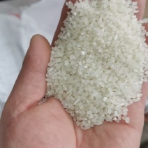 黑龙江牡丹江碎米大量有货/精品碎米一手现货量大从优