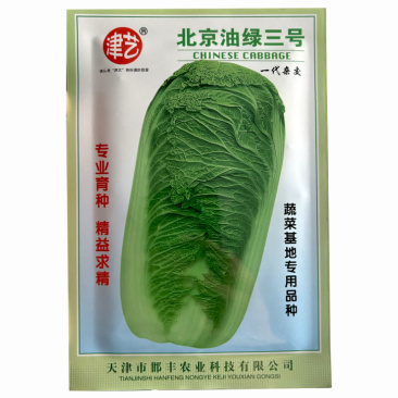 北京油绿三号白菜种子杂交淡绿色叶球叠抱结球紧实80天
