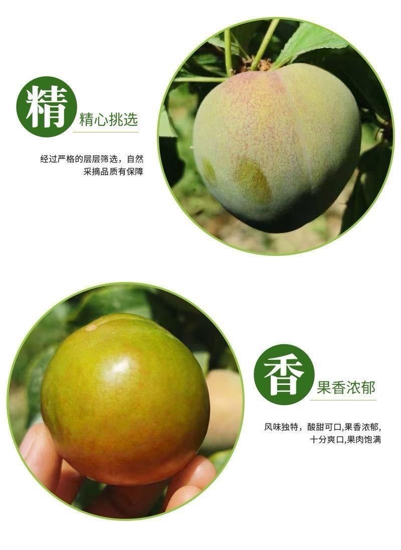 新疆恐龙蛋一件代发产地直发一手货源对接各大电商平台
