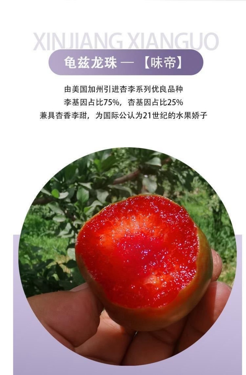 新疆恐龙蛋一件代发产地直发一手货源对接各大电商平台