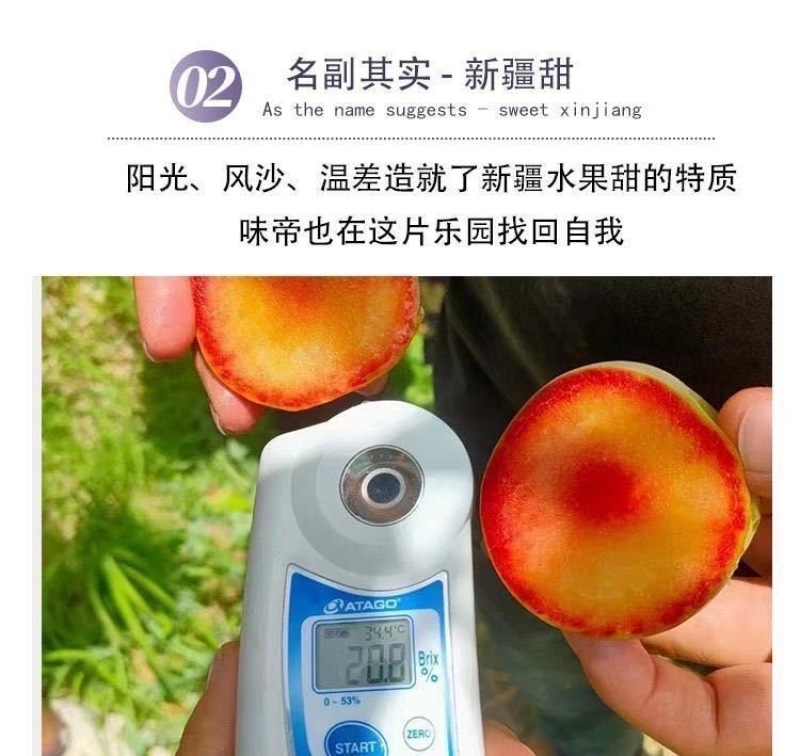 新疆恐龙蛋一件代发产地直发一手货源对接各大电商平台