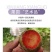 新疆恐龙蛋一件代发产地直发一手货源对接各大电商平台