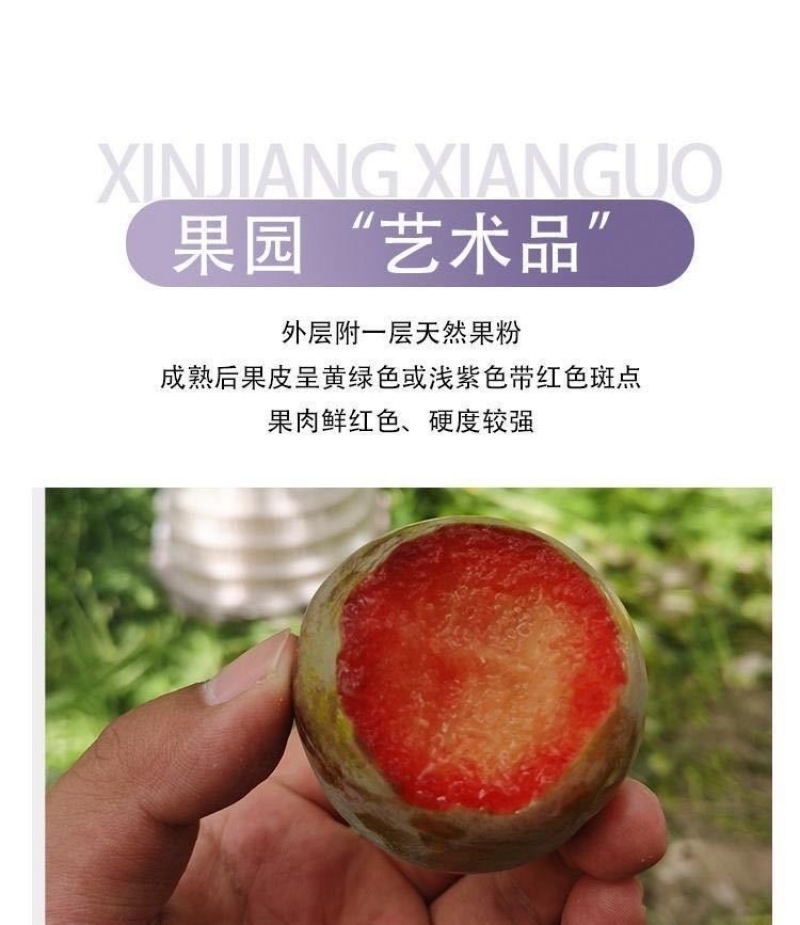 新疆恐龙蛋一件代发产地直发一手货源对接各大电商平台